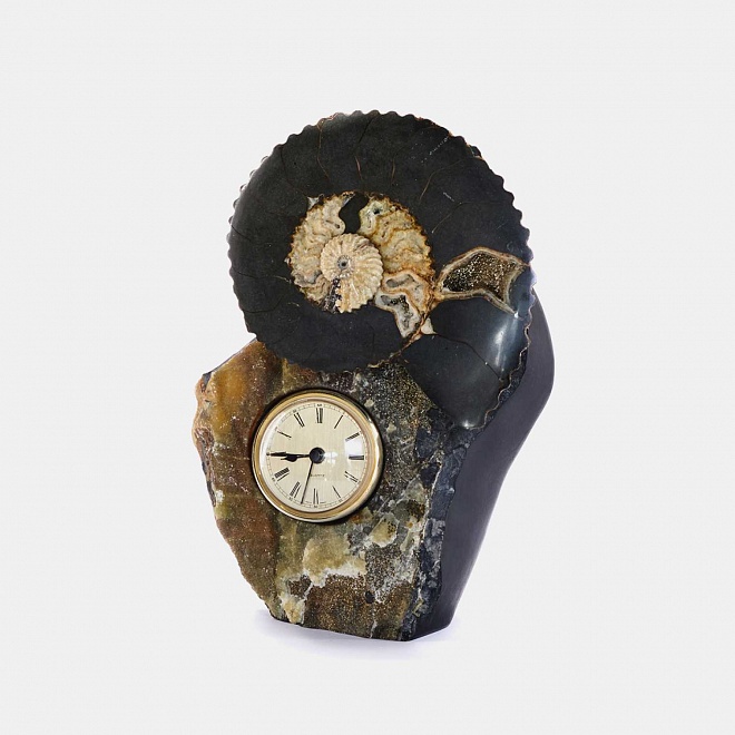 Vita - Clock with ammonite